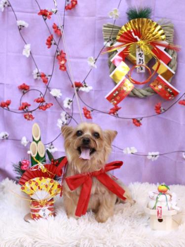 20230120ちゃあすけくん